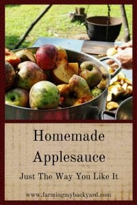 Homemade Applesauce Just The Way You Like It