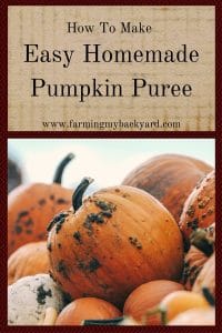 How To Make Easy Homemade Pumpkin Puree