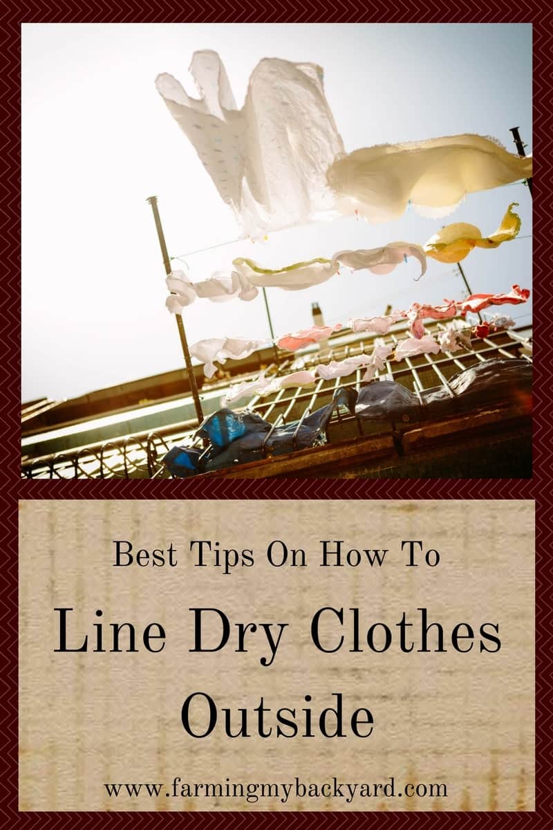 Best Tips On How To Line Dry Clothes Outside