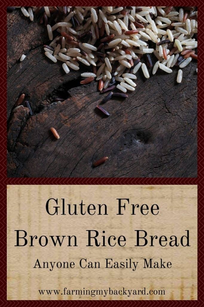 Gluten Free Brown Rice Bread Anyone Can Easily Make