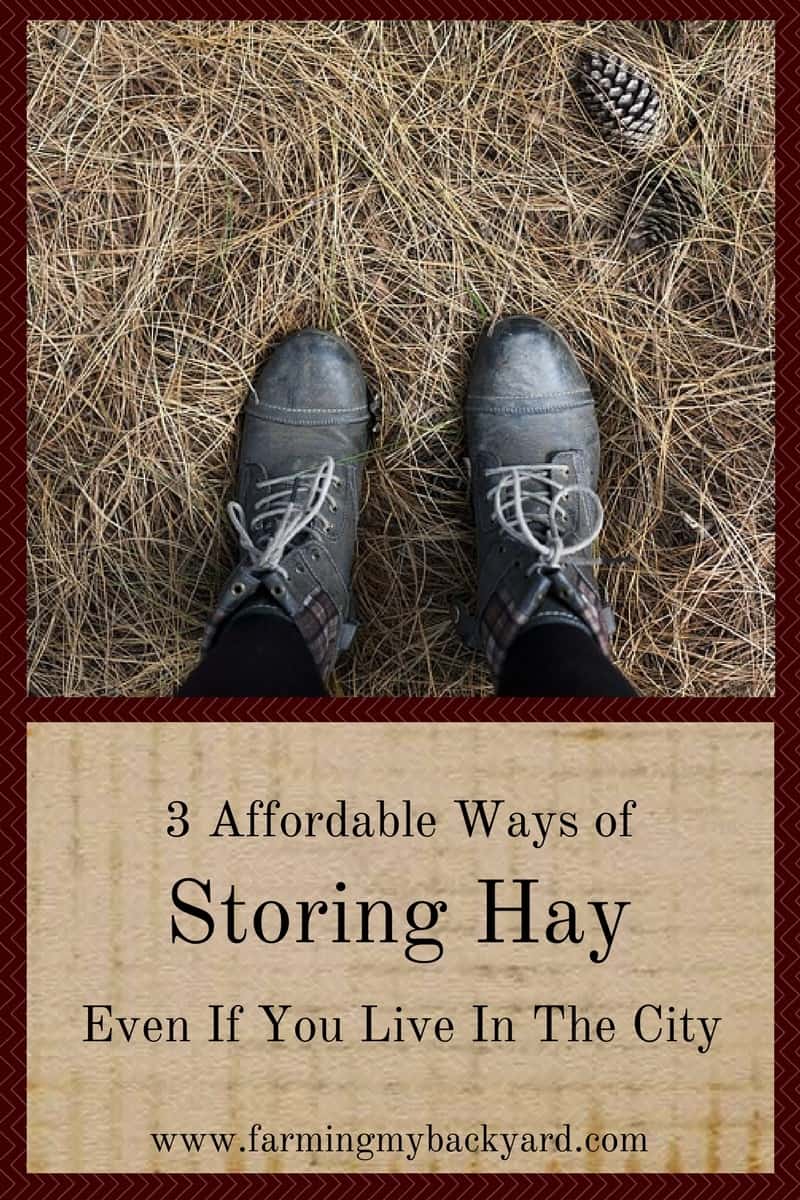 3 Affordable Ways Of Storing Hay Even If You Live In The City