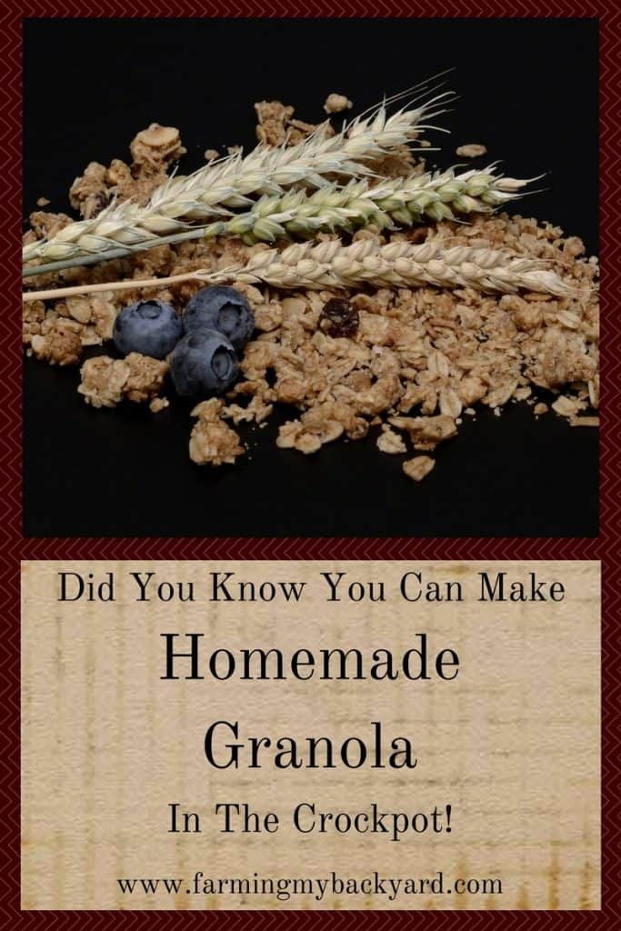 Did You Know You Can Make Homemade Granola In The Crockpot!