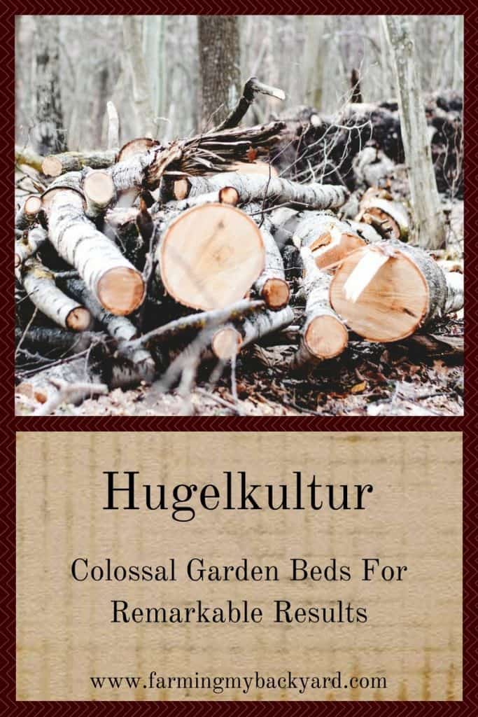 Hugelkultur: Colossal Garden Beds For Remarkable Results
