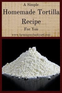 A Simple Homemade Tortilla Recipe For You
