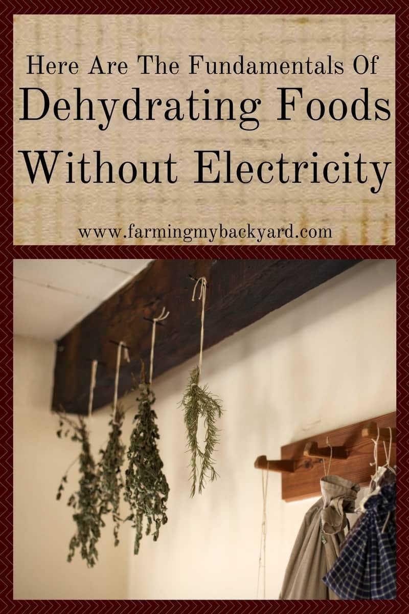 Here Are The Fundamentals Of Dehydrating Foods Without Electricity