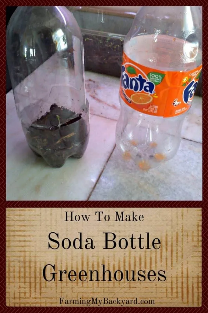 How To Make Soda Bottle Greenhouses