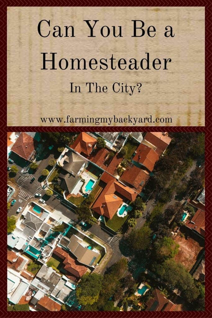 Can You Be a Homesteader In The City