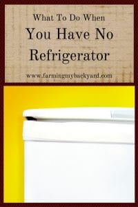 What To Do When You Have No Refrigerator