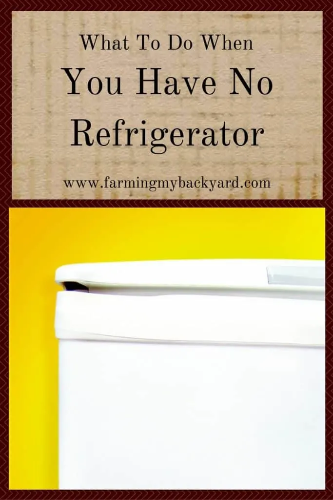What To Do When You Have No Refrigerator
