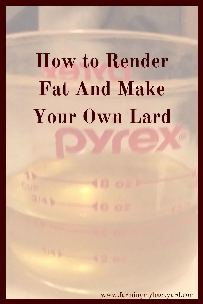 We're all trying to eat more whole foods! When you learn how to render fat and make your own lard, you can reduce waste and use every portion of the meat.