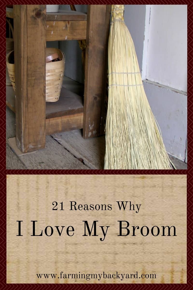 21 Reasons Why I Love My Broom