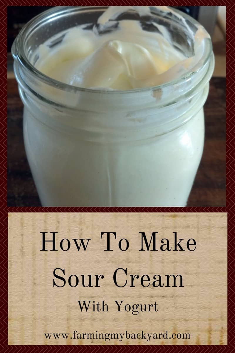 How to Make Sour Cream With Yogurt - Farming My Backyard