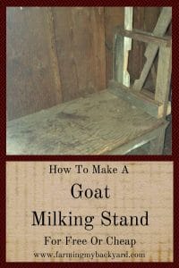 How To Make A Goat Milking Stand For Free Or Cheap