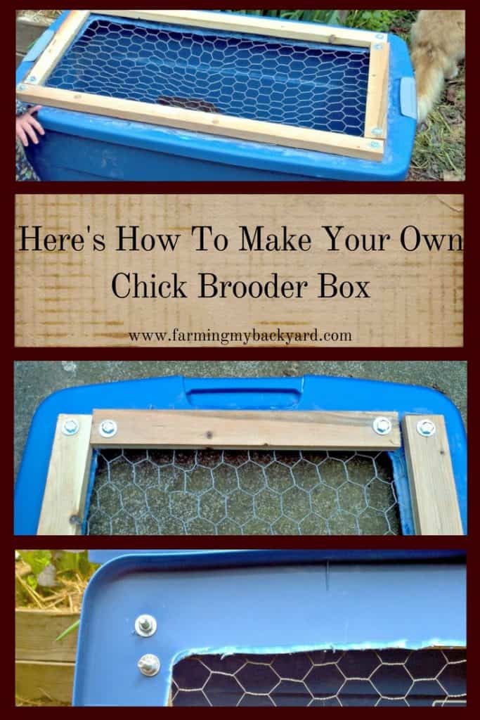 Make Your Own Chick Brooder Box (with lid closeups)