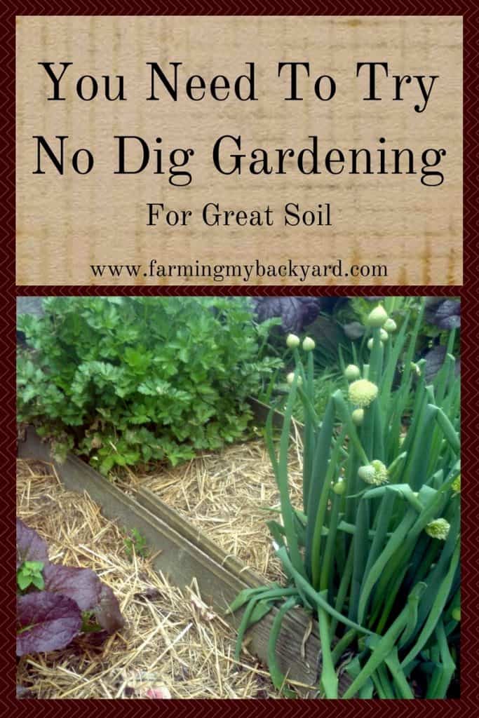 You Need To Try No Dig Gardening For Great Soil