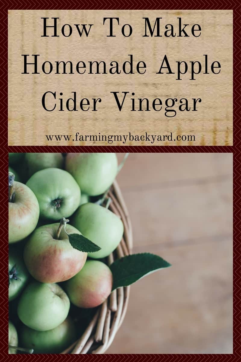 How To Make Homemade Apple Cider Vinegar