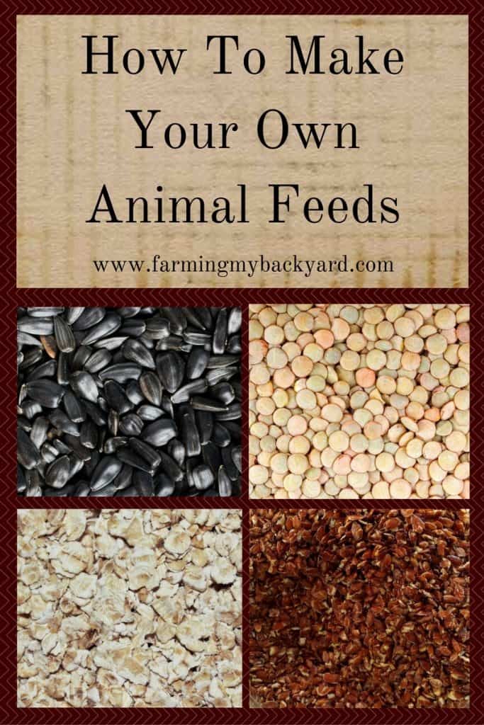 How To Make Your Own Animal Feeds