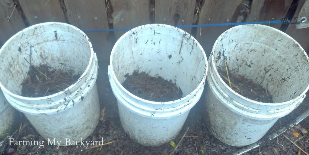 3 How to Plant Potatoes @ Farming My Backyard