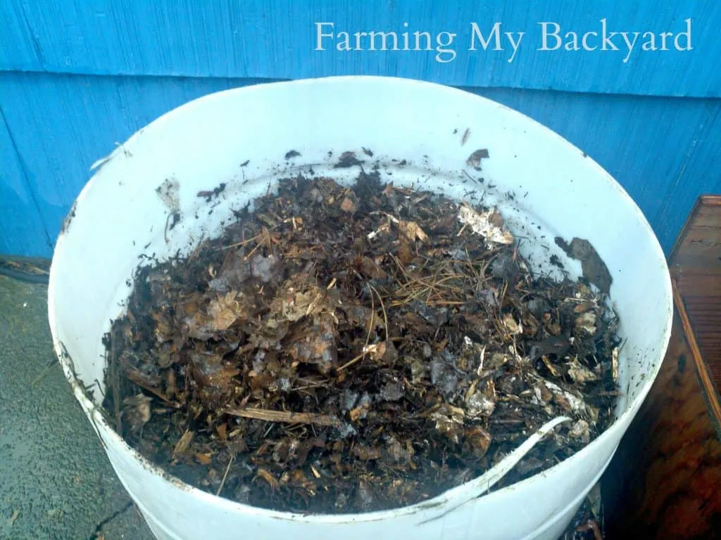 4 How to Plant Potatoes @ Farming My Backyard