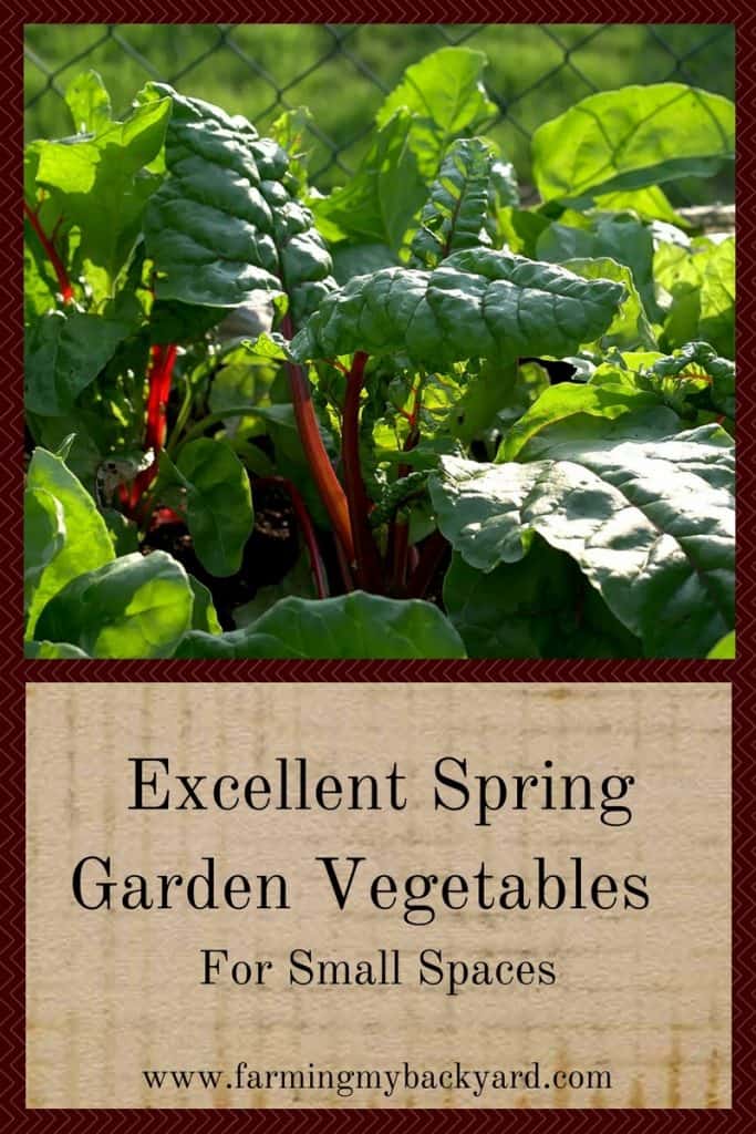 Excellent Spring Garden Vegetables For Small Spaces