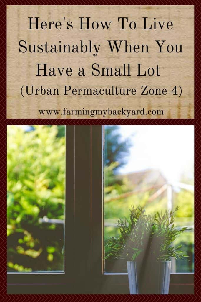Here's How To Live Sustainably When You Have a Small Lot (Urban Permaculture Zone 4)