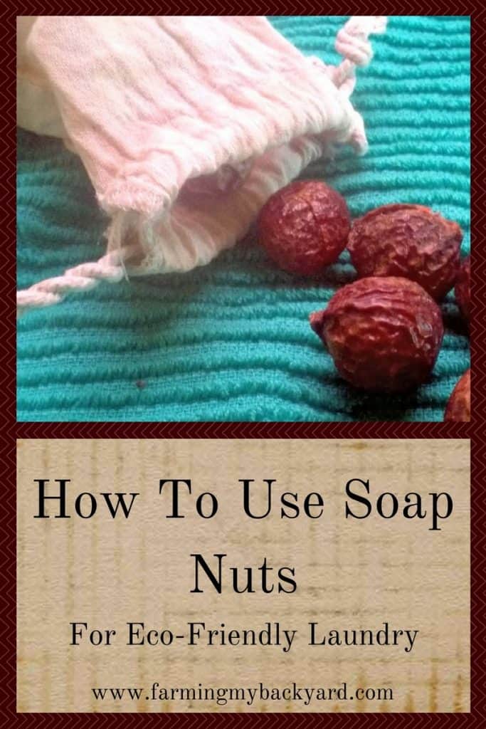 How To Use Soap Nuts For Eco-Friendly Laundry