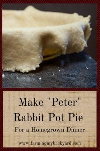 Make Peter Rabbit Pot Pie For a Homegrown Dinner