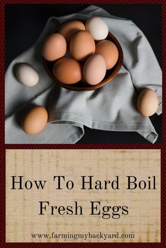 How To Hard Boil Fresh Eggs