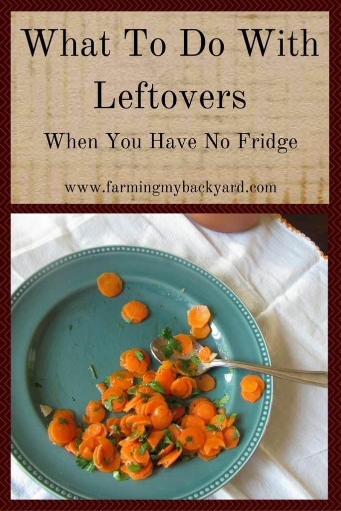 What To Do With Leftovers When You Have No Fridge