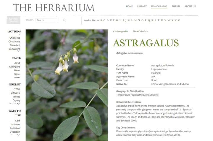Astragalus Monograph Herbarium