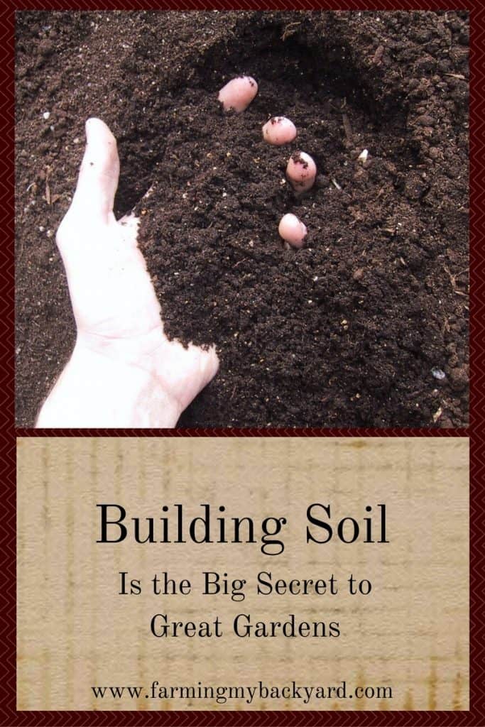 building-soil-is-the-big-secret-to-great-gardens
