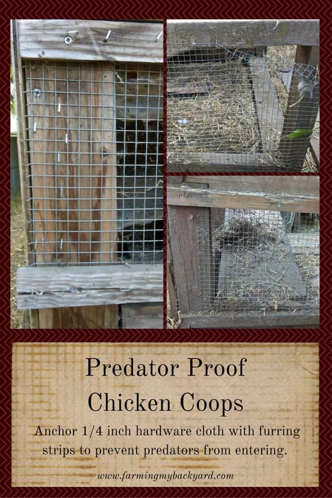 Predator Proof Chicken Coops @ Farming My Backyard