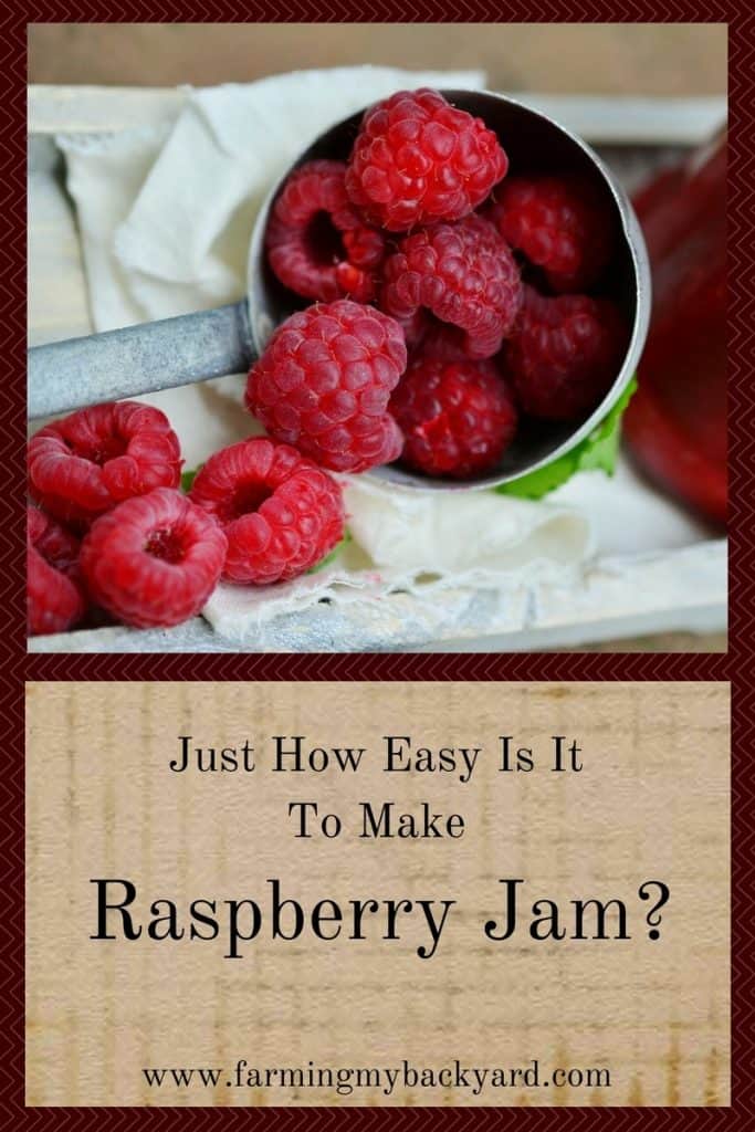 Just How Easy Is It To Make Raspberry Jam-