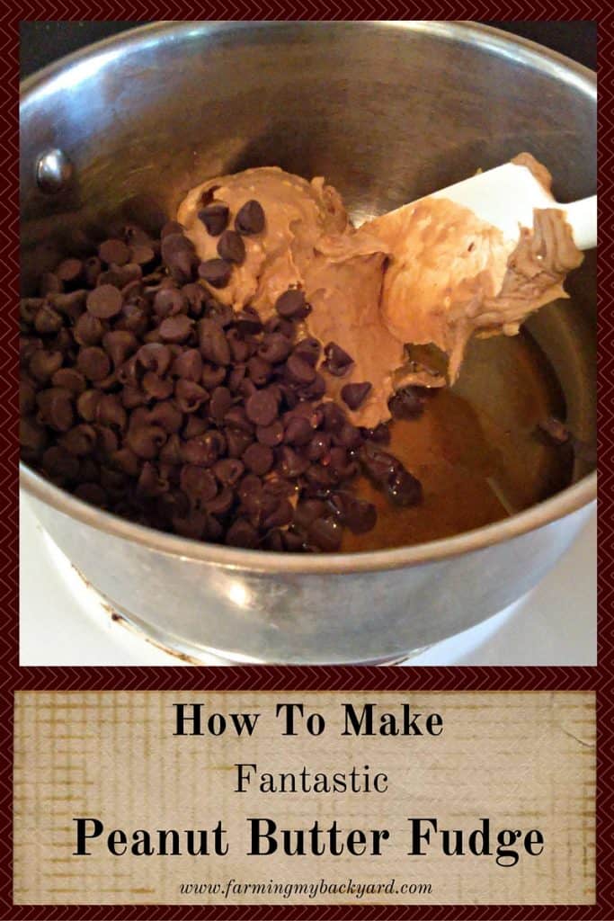 How To Make Fantastic Peanut Butter Fudge @ Farming My Backyard