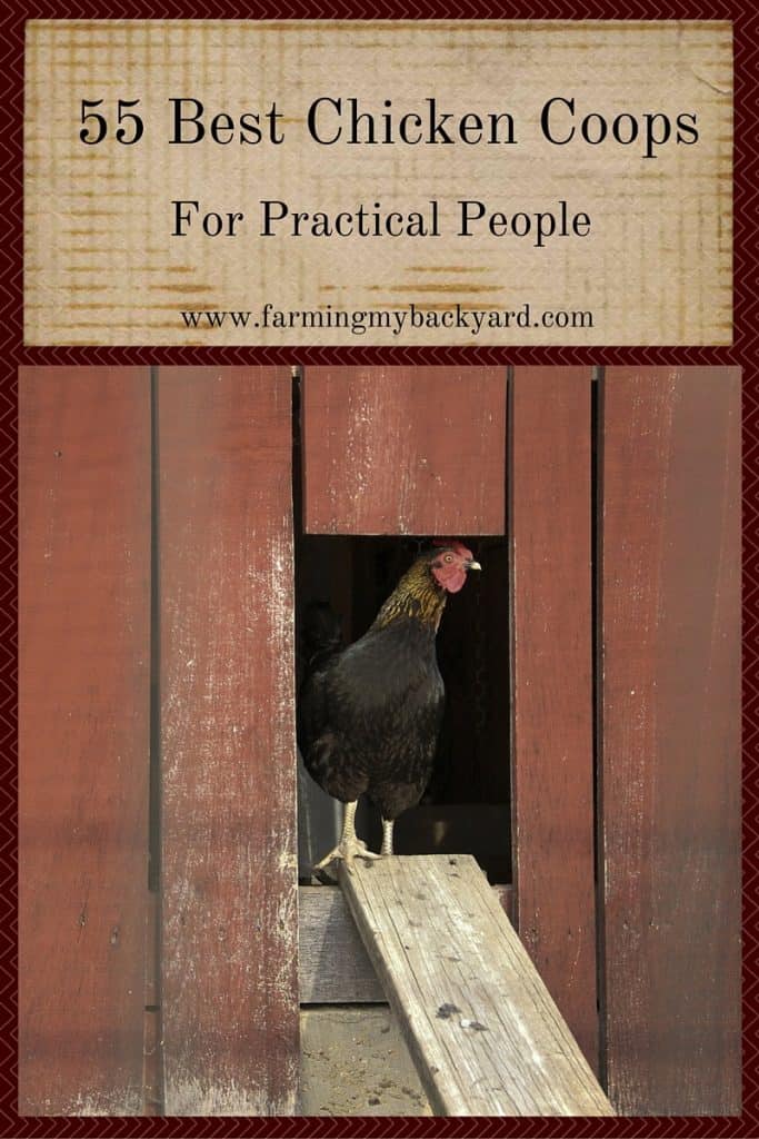 55 Best Chicken Coops for Practical People by Farming My Backyard