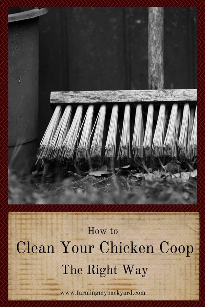 Clean Your Chicken Coop
