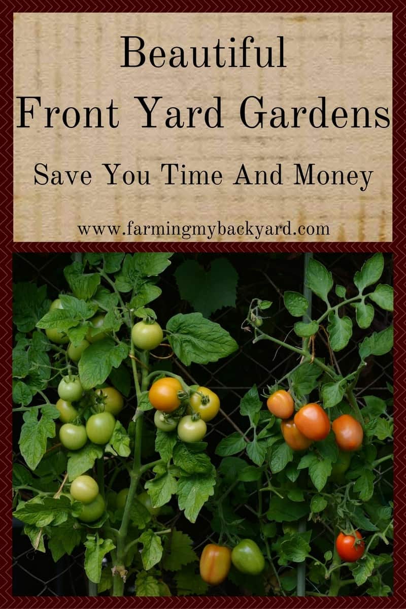 Beautiful front yard gardens save you time and money