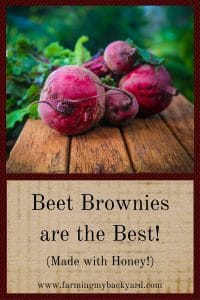 Beet brownies are the best! (Made with honey!)