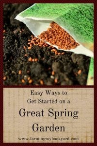 Easy Ways To Get Started On a Great Spring Garden