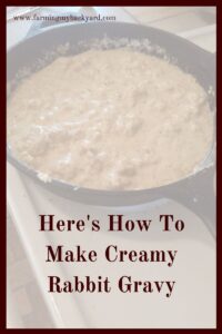 What can you cook with rabbit meat? Just about anything! Here's how to make creamy rabbit gravy to serve over rice or pasta.