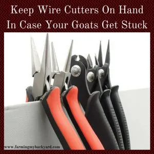 Keep Wire Cutters on Hand In Case Your Goats Get Stuck