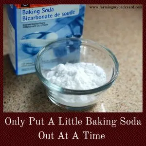 Only Put Out A Little Baking Soda At a Time For Your Goats