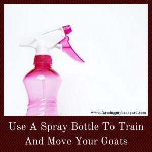 Use a Spray Bottle To Train and Move Your Goats