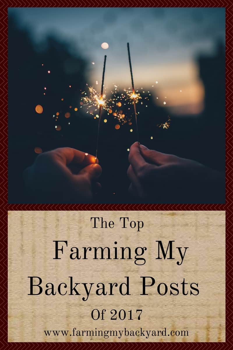 The Top Farming My Backyard Posts Of 2017