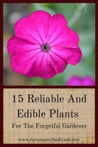 15 Reliable And Edible Plants For The Forgetful Gardener