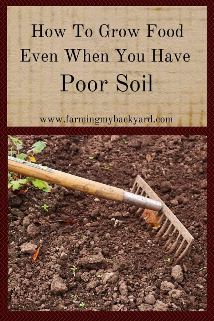 How To Grow Food Even When You Have Poor Soil
