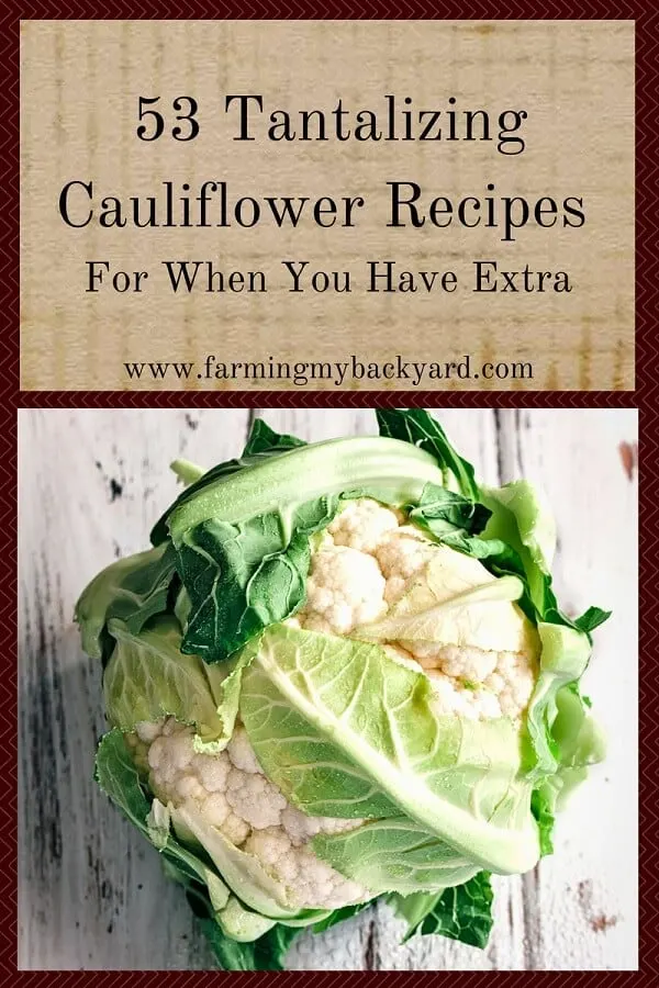 53 Tantalizing Cauliflower Recipes For When You Have Extra (3)