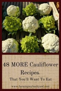 48 MORE Cauliflower Recipes That You’ll Want To Eat