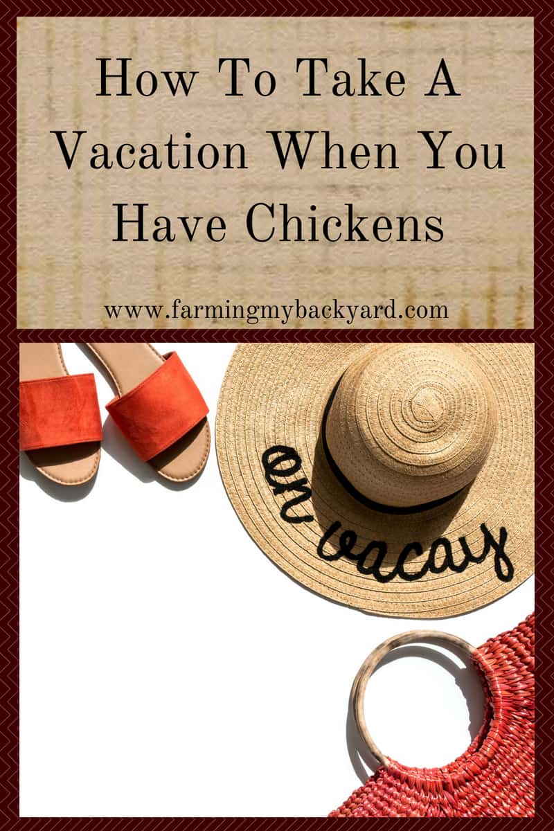 How To Take A Vacation When You Have Chickens