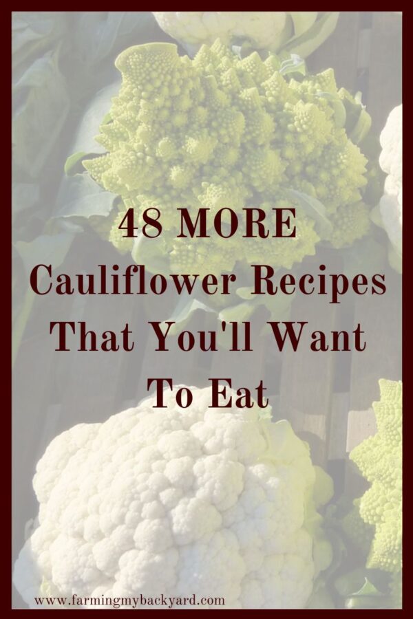 Cauliflower truly is a versatile vegetable.  Whether you are vegan, gluten-free, low carb, or just love some fried cauliflower patties, it's a winner.